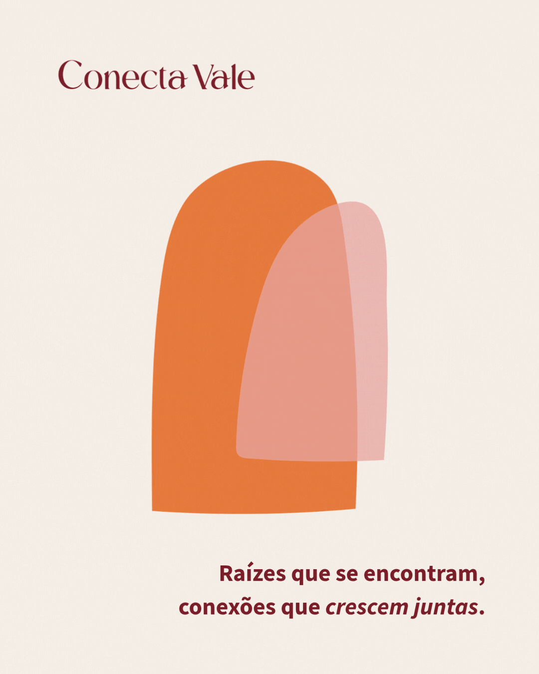 Identidade visual Conecta Vale