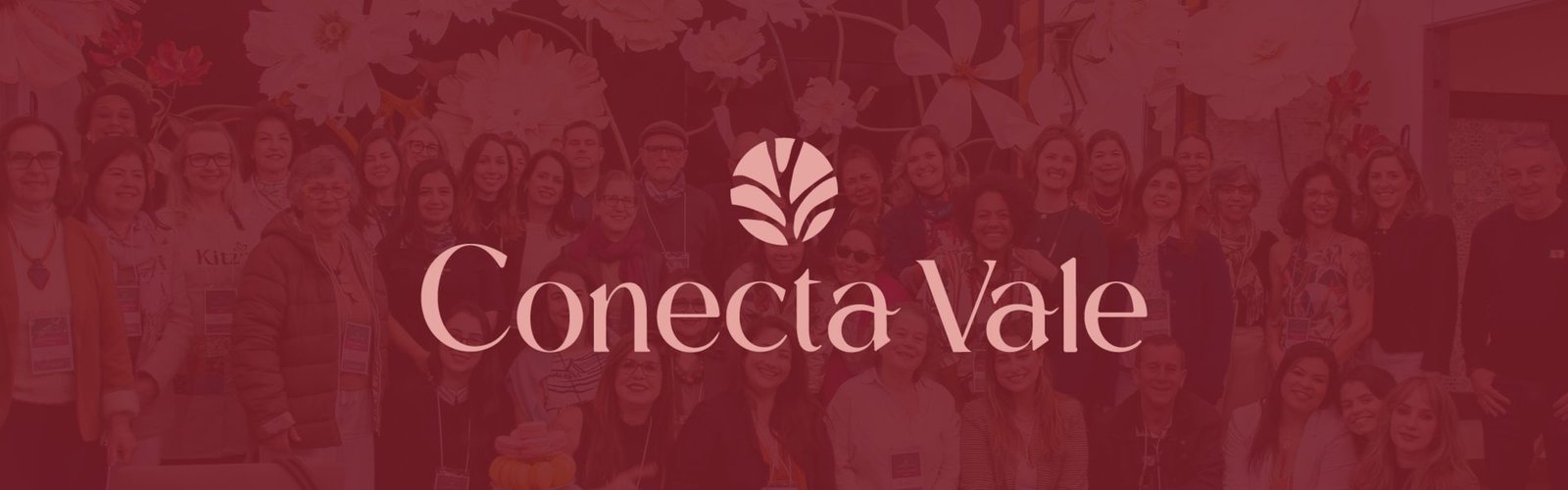 Identidade Visual — Conecta Vale