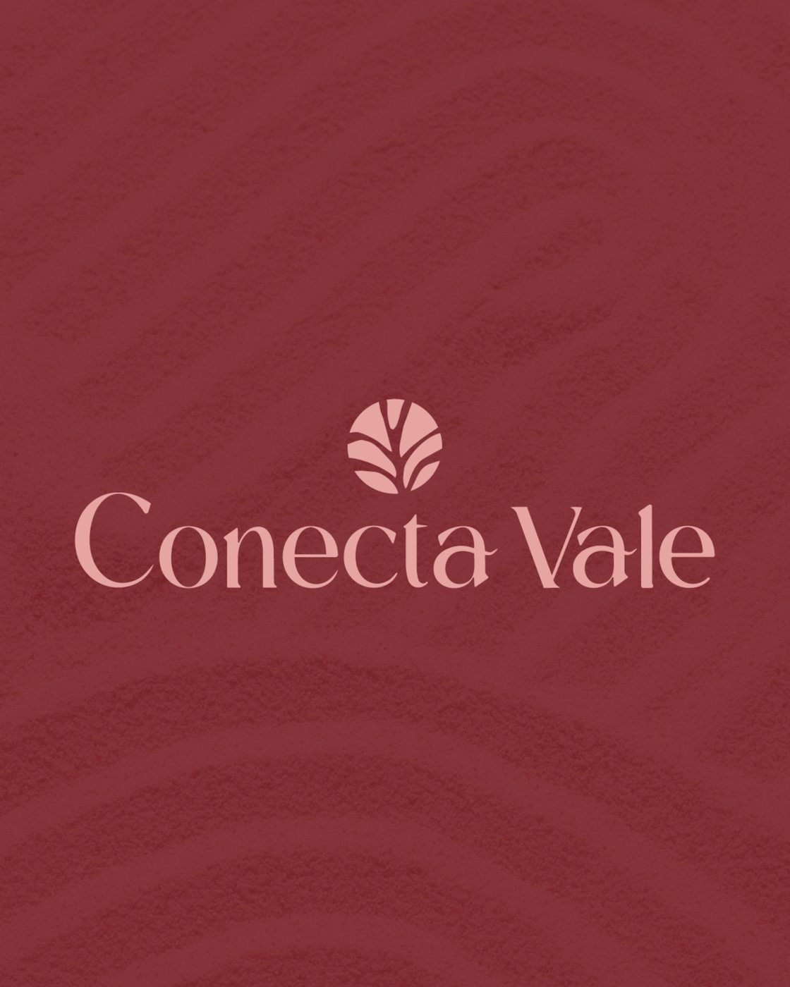 Identidade Visual Conecta Vale